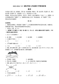 天津市滨海新区天津泰达枫叶国际学校2023-2024学年七年级下学期期中数学试题(无答案)