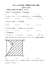 福建省厦门市湖滨中学2023-2024学年八年级下学期期中数学试题（原卷版+解析版）