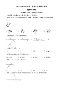 广东省汕头市潮阳区金培学校2023-2024学年七年级下学期期中数学试题（原卷版+解析版）