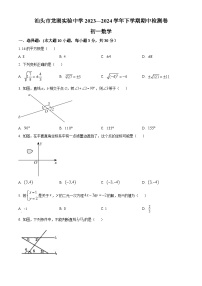 广东省汕头市龙湖实验中学2023-2024学年七年级下学期期中数学试题（原卷版+解析版）