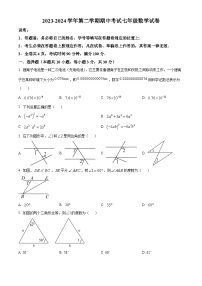 广东省深圳市深圳中学共同体2023-2024学年七年级下学期期中数学试题（原卷版+解析版）