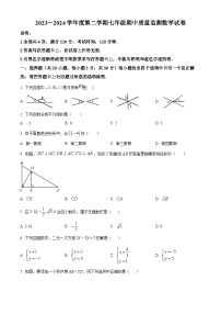 广东省珠海市香洲区第八中学2023-2024学年七年级下学期期中数学试题（原卷版+解析版）