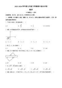 河北省廊坊市2023-2024学年七年级下学期期中数学试题（原卷版+解析版）