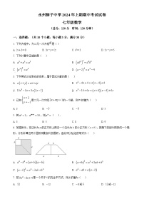 湖南省永州市柳子中学2023-2024学年七年级下学期期中数学试题（原卷版+解析版）