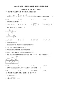 上海市崇明区部分学校联考（五四制）2023-2024学年七年级下学期期中数学试题（原卷版+解析版）