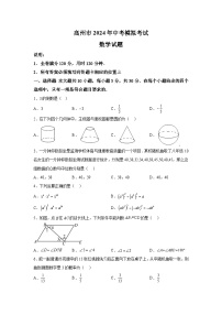 2024年广东省茂名市高州市九中考一模数学试题（含解析）