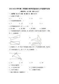 广东省惠州市惠东县2023-2024学年七年级下学期期中数学试题（含解析）