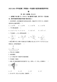 广东省深圳市宝安区2023-2024学年七年级下学期期中数学试题（含解析）