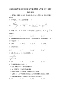 天津市东丽区华新共同体2023-2024学年七年级下学期期中数学试题（含解析）