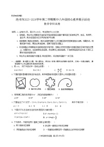 广东省清远市连州市2023-2024学年八年级下学期4月期中考试数学试题