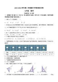 广东省深圳市宝安区宝安中学2023-2024学年下学期七年级数学期中试题+