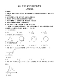 2024年湖南省长沙市雨花区中考一模数学试题(无答案)