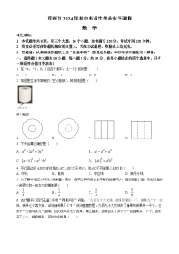 2024年浙江省绍兴市初中毕业生学业水平调测（一模）数学试题