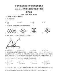 北京市首师大附属中学朝阳学校教育集团2023-2024学年七年级下学期期中数学试题(无答案)