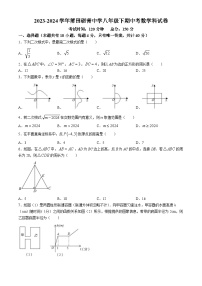 福建省莆田市砺青中学2023-2024学年八年级下学期期中数学试题