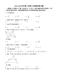 广东省肇庆市德庆县德庆中学教育集团2023-2024学年八年级下学期期中数学试题