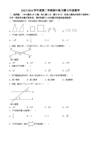 广东省肇庆市德庆中学教育集团2023-2024学年七年级下学期期中数学试题