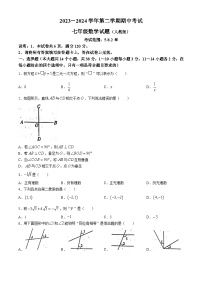 河北省邢台市任泽区2023-2024学年七年级下学期期中数学试题