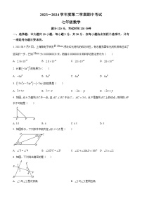 广东省茂名市电白区2023-2024学年七年级下学期期中数学试题（原卷版+解析版）