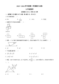 广东省汕头市潮阳实验学校2023-2024学年九年级下学期期中数学试题（原卷版+解析版）