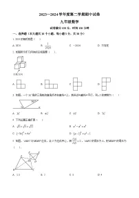 广东省汕头市潮阳实验学校2023-2024学年九年级下学期期中数学试题（原卷版+解析版）