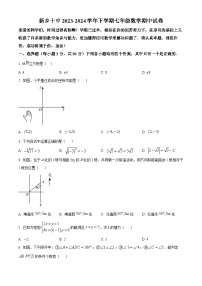 河南省新乡市第十中学2023-2024学年七年级下学期期中数学试题（原卷版+解析版）