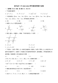 河南省驻马店市驿城区第二初级中学2023-2024学年七年级下学期4月期中数学试题（原卷版+解析版）