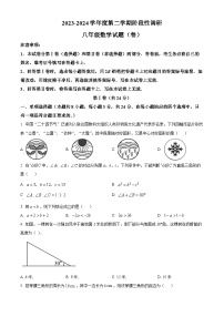 陕西省宝鸡市凤翔区2023-2024学年八年级下学期期中数学试题（原卷版+解析版）