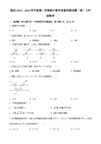 陕西省宝鸡市陇县2023-2024学年七年级下学期期中数学试题（原卷版+解析版）