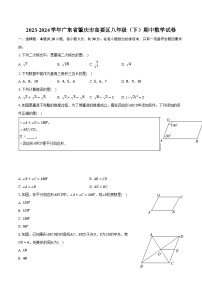 2023-2024学年广东省肇庆市高要区八年级（下）期中数学试卷（含解析）