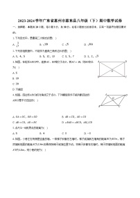 2023-2024学年广东省惠州市惠东县八年级（下）期中数学试卷（含解析）