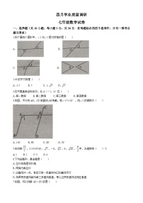 湖北省孝感市孝昌县2023-2024学年七年级下学期期中数学试题