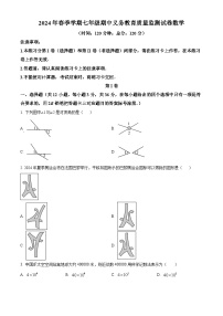 广西南宁市青秀区第四十七中学2023-2024学年七年级下学期期中考试数学试题（原卷版+解析版）