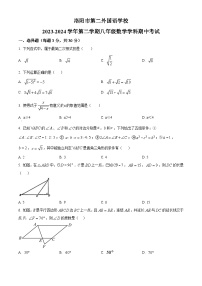 河南省洛阳市第二外国语学校2023-2024学年八年级下学期期中数学试题（原卷版+解析版）