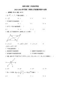 河南省洛阳市第二外国语学校2023-2024学年七年级下学期期中数学试题（原卷版+解析版）