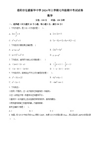 湖南省岳阳市弘毅新华中学2023-2024学年七年级下学期期中数学试题（原卷版+解析版）