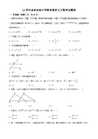 浙江省金东实验中学教育集团2023-2024学年七年级下学期期中考试数学试题（原卷版+解析版）