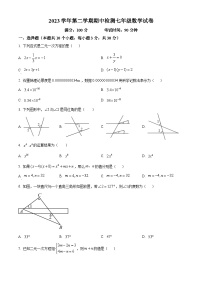 浙江省温州市第十二中学2023-2024学年七年级下学期期中数学试题（原卷版+解析版）