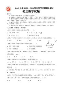 哈尔滨47中学2023-2024学年度下学期期中测试初三数学试题和答案