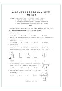 浙江省J12共同体联盟校学业质量检测2024（初三下）数学试卷（附参考答案）