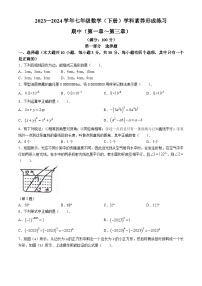 广东省深圳市龙岗区宏扬学校2023-2024学年七年级下学期期中数学试题