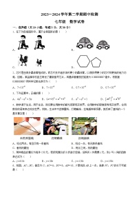 广东省深圳市南山外国语学校等学校联考2023-2024学年七年级下学期期中数学试题