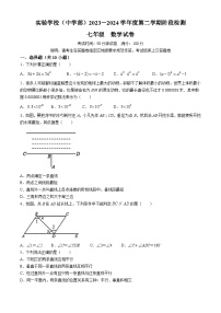 广东省深圳市实验学校中学部2023-2024学年七年级下学期期中数学试题