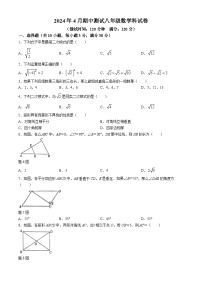 广东省中山市共进联盟2023-2024学年八年级下学期期中数学试题