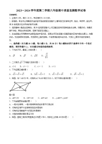 广东省珠海市香洲区联考2023-2024学年八年级下学期期中数学试题