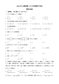 湖南省祁阳市浯溪第二中学2023-2024学年七年级下学期期中数学试题