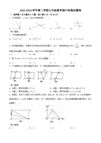 江西省吉安市2023-2024学年七年级下学期期中数学试题