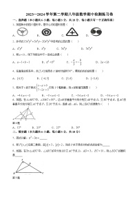 江西省吉安市省级九校2023-2024学年八年级下学期月考数学试题