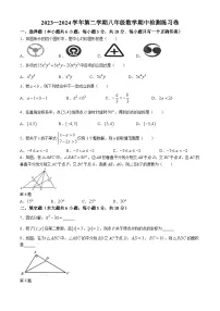 江西省吉安市省级九校2023-2024学年八年级下学期月考数学试题