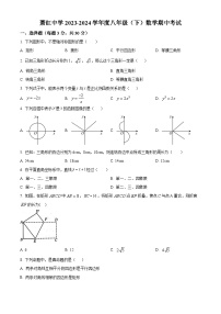 黑龙江省哈尔滨市南岗区萧红中学校2023-2024学年八年级下学期期中数学试题（原卷版+解析版）